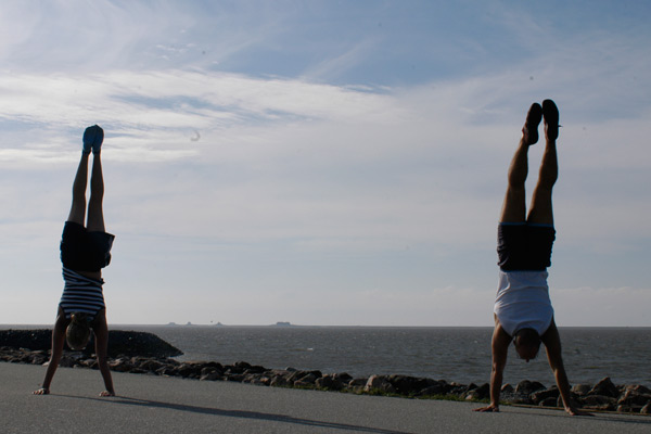 Halligblick / Nordstrand [DE]