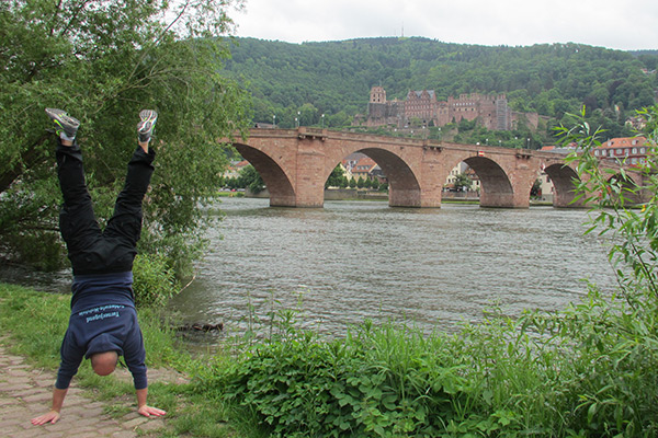 Neckar / Heidelberg [DE]